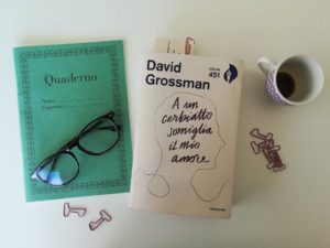 Scopri di più sull'articolo A un cerbiatto somiglia il mio amore di David Grossman