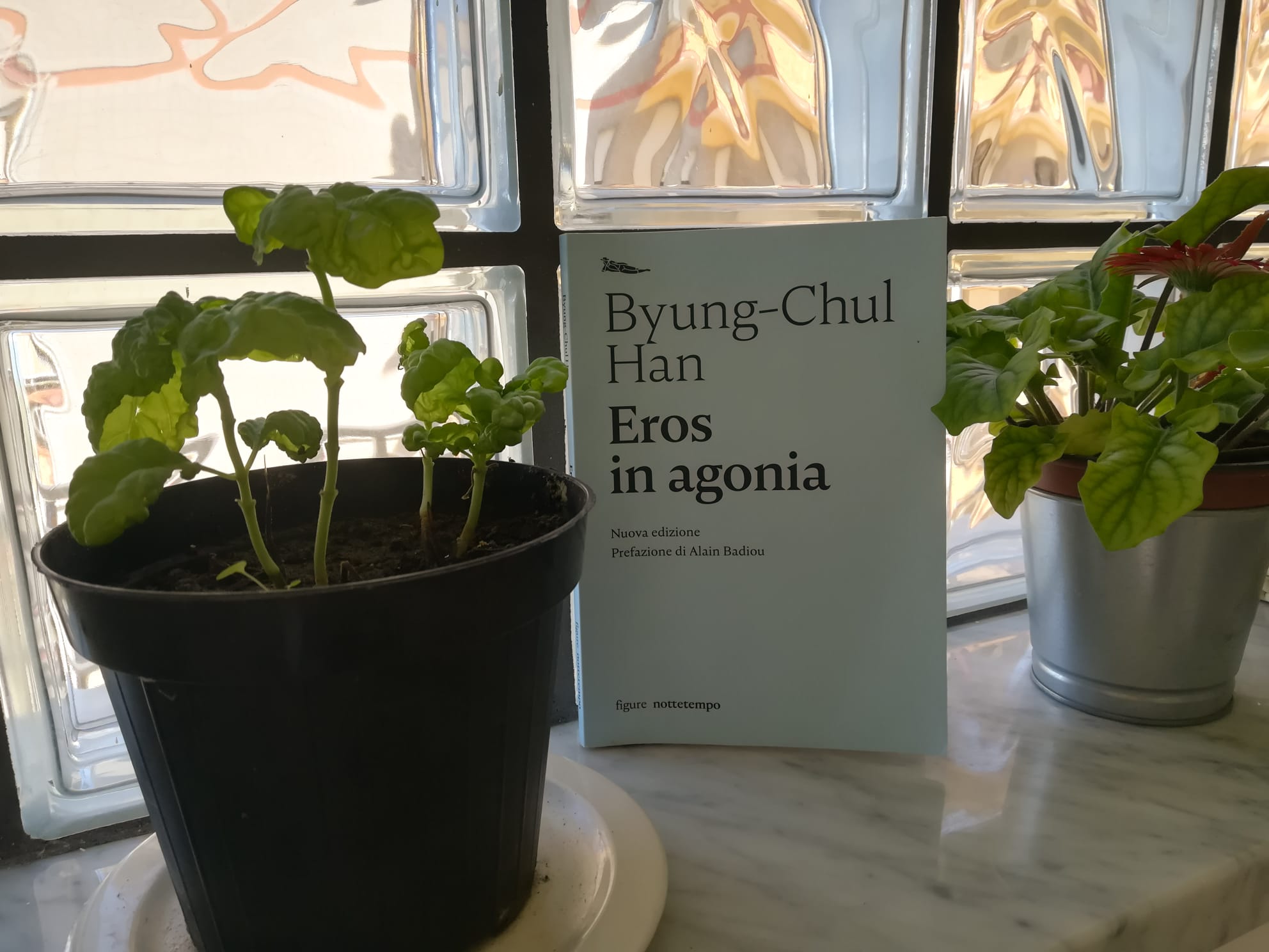 Byung-chul Han libro